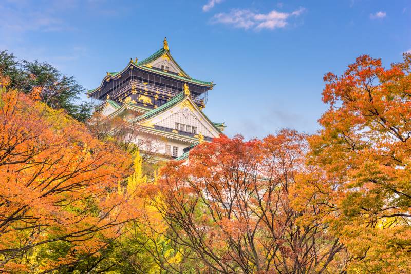 7 reasons to visit Japan