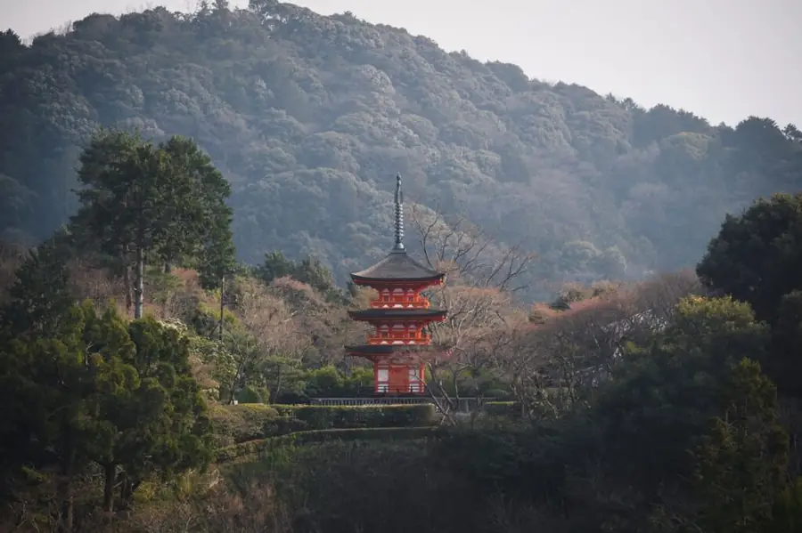 Here are 7 reasons to visit Japan