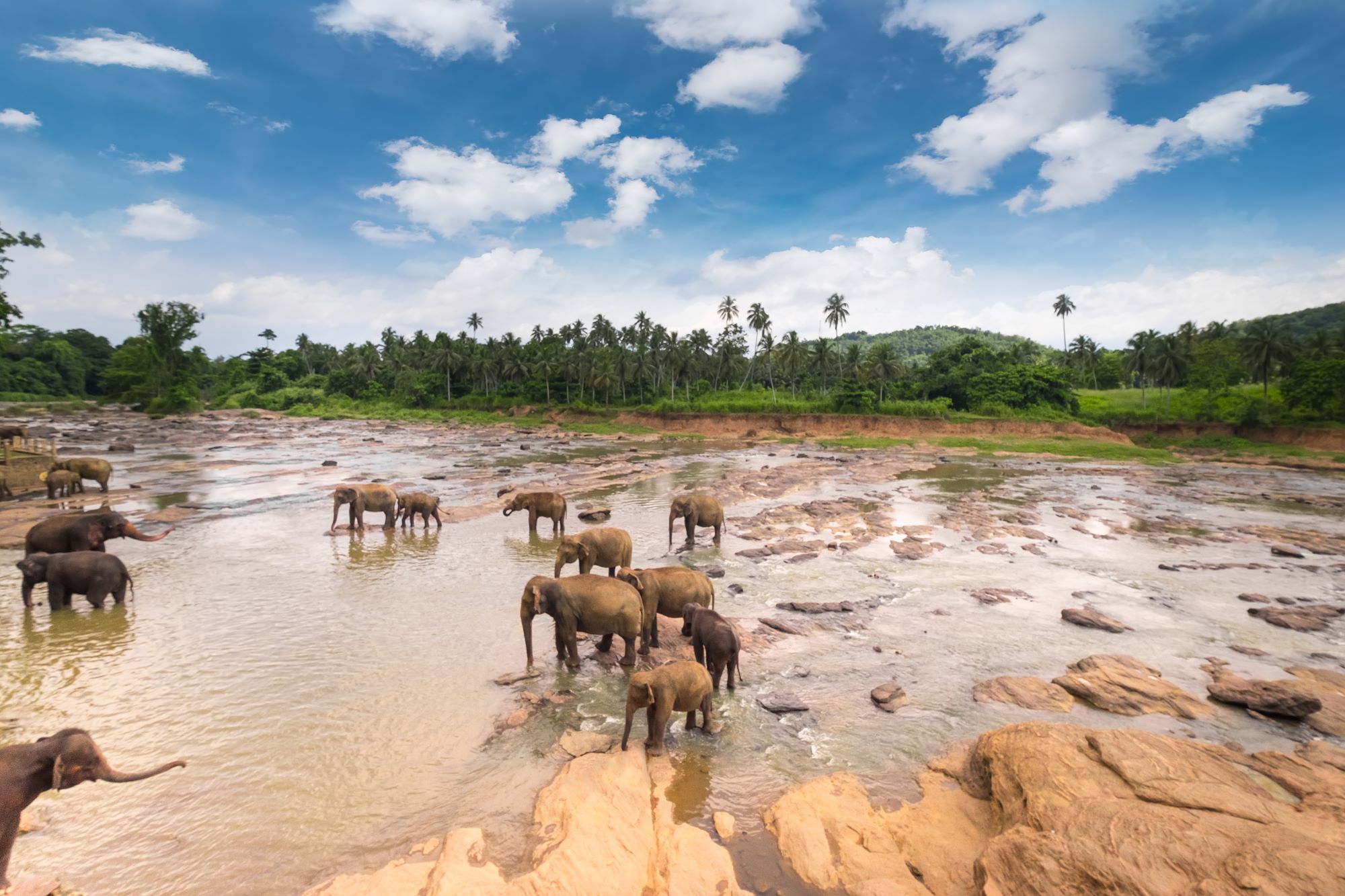 The top 5 Reasons to visit Sri Lanka
