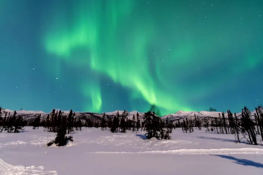 Canada Nature Travel Guide