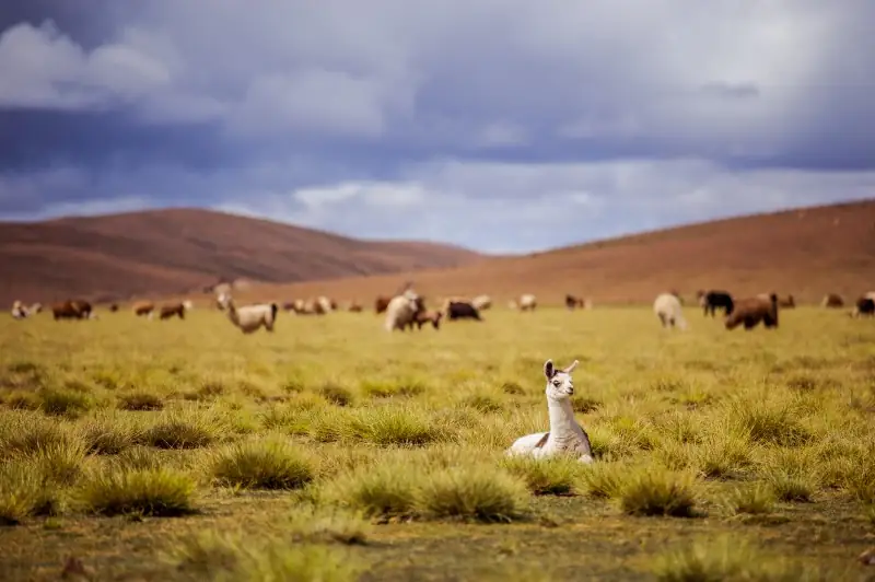 Top backpacking destinations in South America