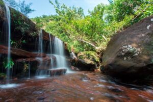 Best Hiking Trails in Bueng Kan
