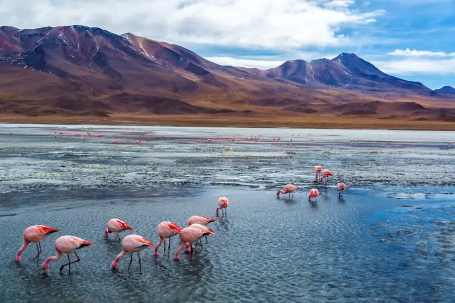 Everything you need to know about Bolivia