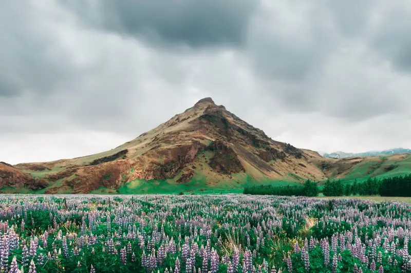 Iceland Travel Guide for First-Time Visitors
