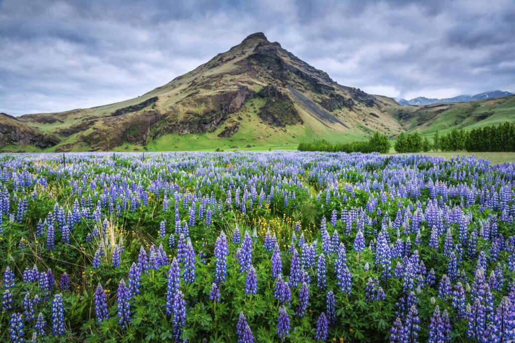 Iceland travel guide for First-Time visitors