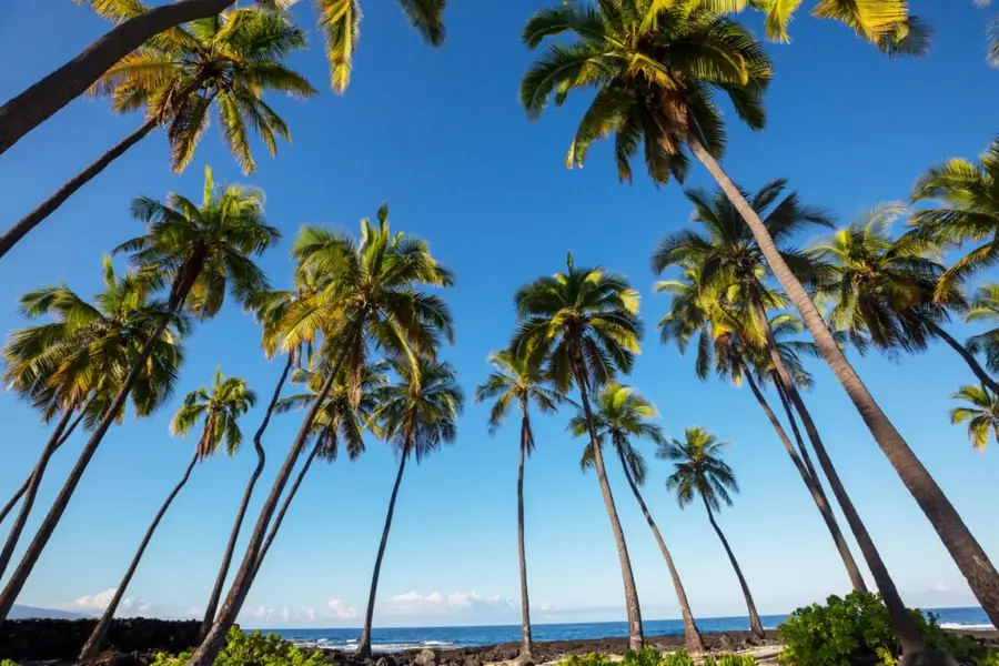 Travel guide to Hawaii