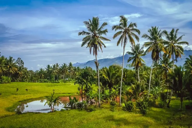 The best time to visit Indonesia
