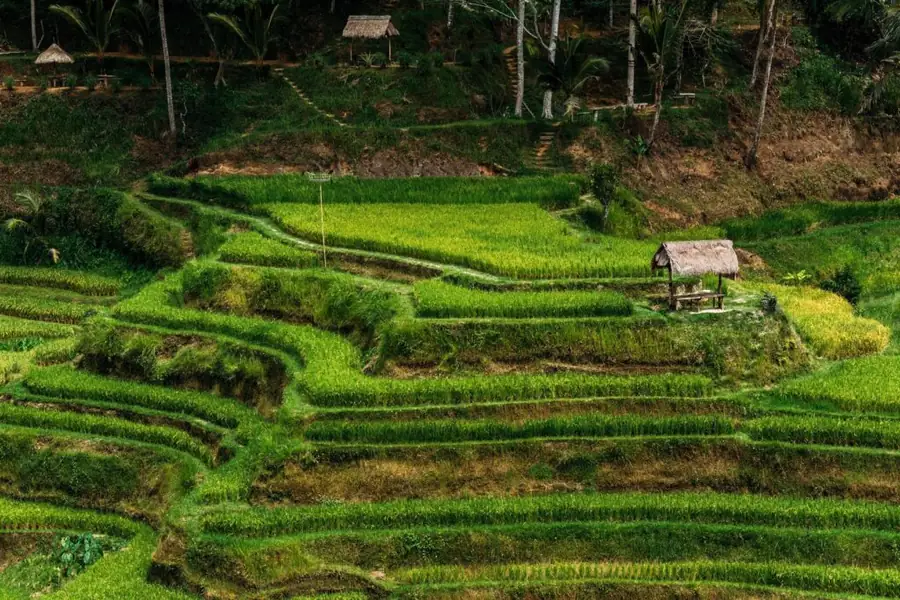 The best time to visit Indonesia
