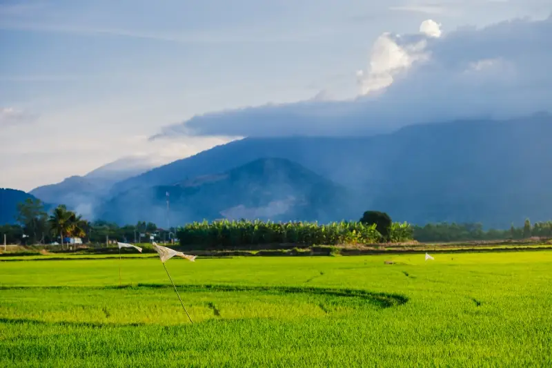 Best Time to Visit Vietnam