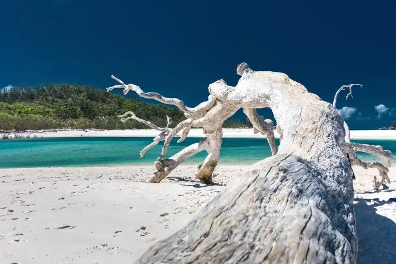 a weekend in Port Douglas