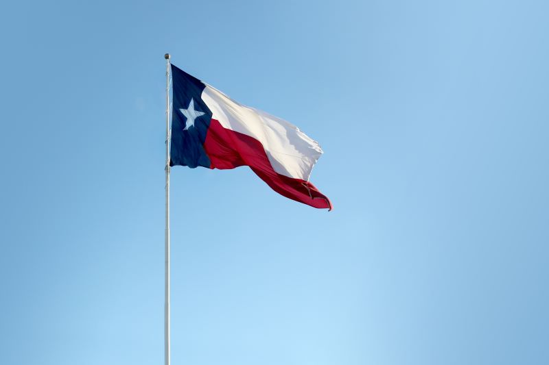 Fun Facts About Texas