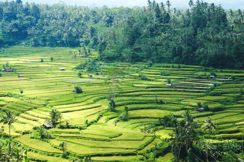 South east Asia Backpacking Route